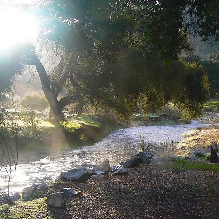 Pio Pico Camping Resort Studio Cabin 10 Jamul Екстериор снимка